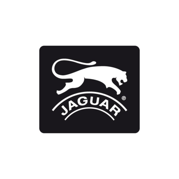 Jaguar Shoes